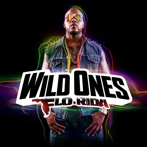 Flo Rida ft. Sia - Wild Ones